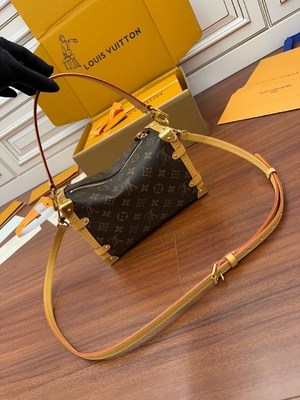 Чемодан сумки вензеля премьер-министра хобота Louis Vuitton LV холста Брауна Presbyopic бортовой