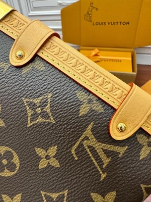 Чемодан сумки вензеля премьер-министра хобота Louis Vuitton LV холста Брауна Presbyopic бортовой