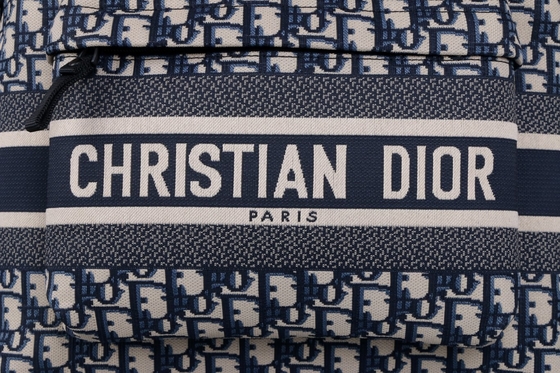 Жаккард Dior дизайнерского небольшого рюкзака Diortravel голубой косой