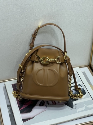 Выбитая телячья кожа сумки спорта Dior CD седловины золота сумки C'est Dior христианская