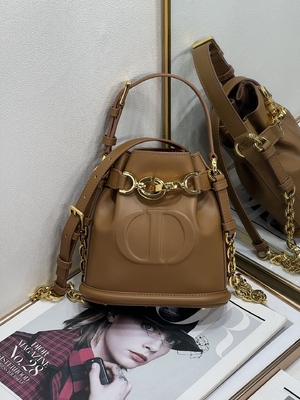Выбитая телячья кожа сумки спорта Dior CD седловины золота сумки C'est Dior христианская