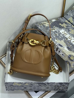 Выбитая телячья кожа сумки спорта Dior CD седловины золота сумки C'est Dior христианская
