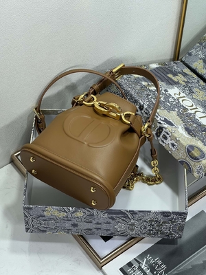 Выбитая телячья кожа сумки спорта Dior CD седловины золота сумки C'est Dior христианская