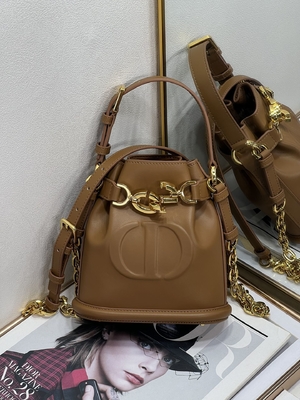 Выбитая телячья кожа сумки спорта Dior CD седловины золота сумки C'est Dior христианская