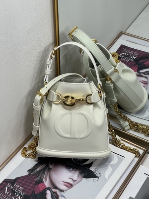 Выбитая телячья кожа сумки спорта Dior CD седловины золота сумки C'est Dior христианская