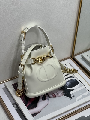 Выбитая телячья кожа сумки спорта Dior CD седловины золота сумки C'est Dior христианская